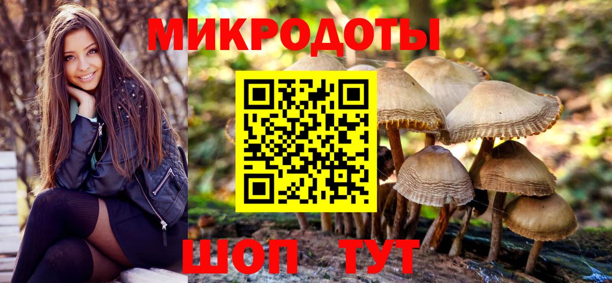 Тула  Псилоцибиновые грибы Magic Shrooms  Вход с VPN  купить  цена  Псилоцибиновые грибы GOLDEN TEACHER 