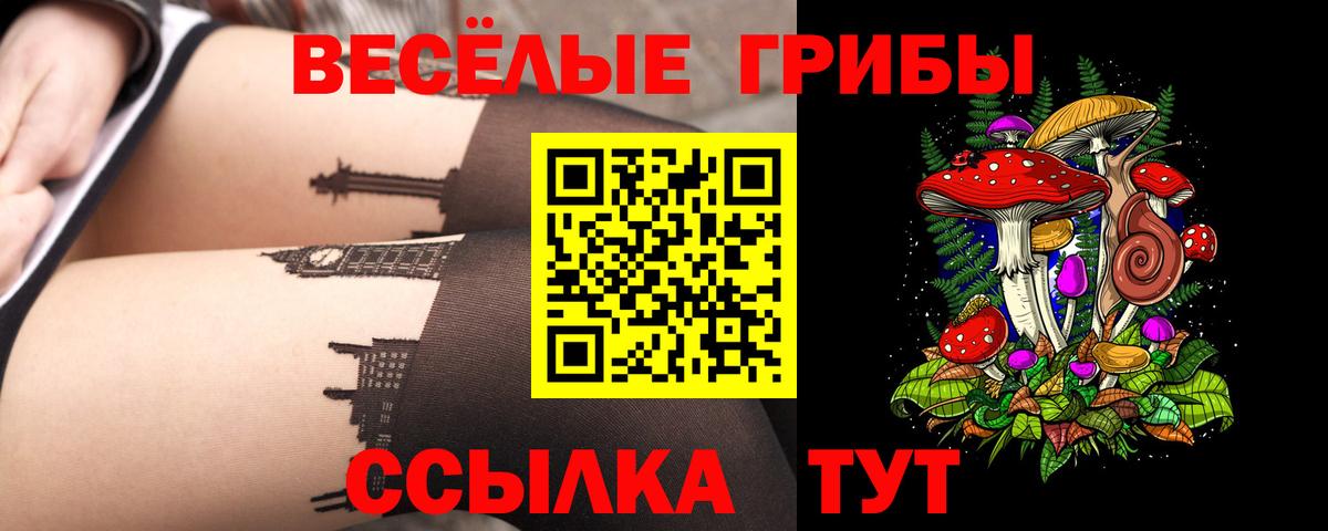 Псилоцибиновые грибы Psilocybe Тула