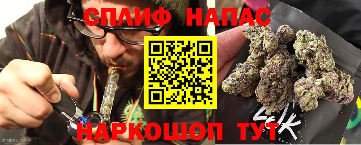 Тула  Каннабис гибрид  Вход с VPN  Бошки марихуана семена  Бошки Шишки Amnesia 